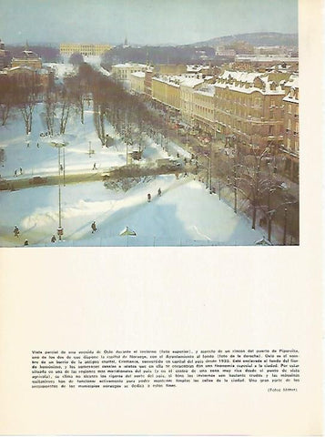 LAMINA 11038: Avenida en  Oslo Noruega