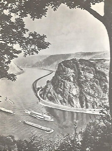 LAMINA 11062: Rio Rhin