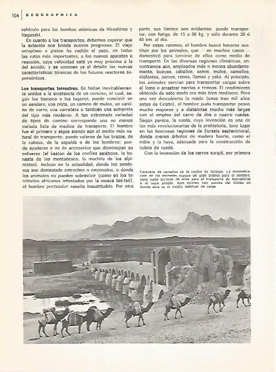 LAMINA 11092: Caravana de camellos en Isfahan Iran