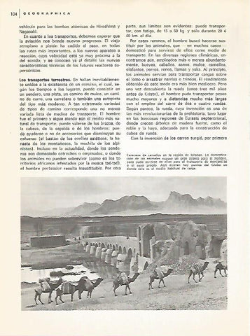 LAMINA 11092: Caravana de camellos en Isfahan Iran