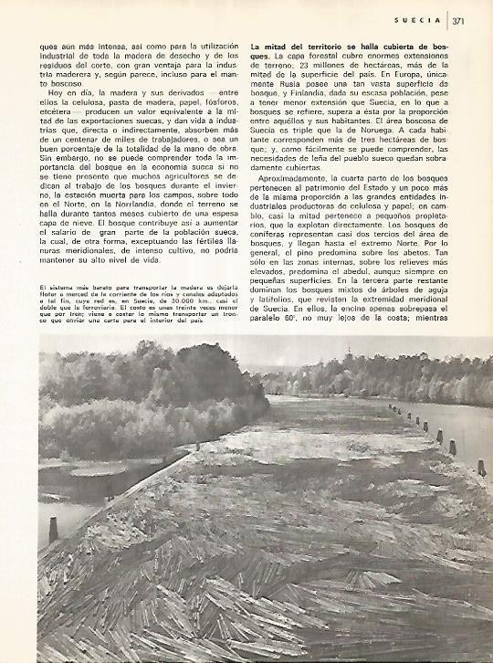 LAMINA 11105: Madera flotando en Suecia