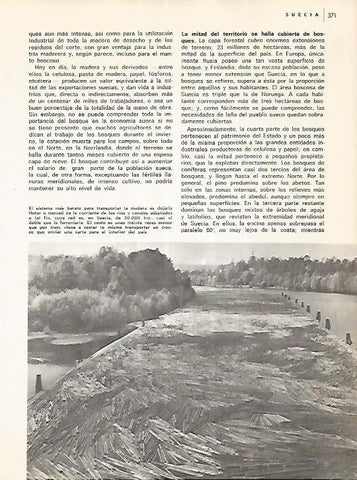 LAMINA 11105: Madera flotando en Suecia