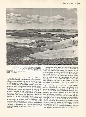 LAMINA 11124: Paisaje agricola de Jutlandia Dinamarca