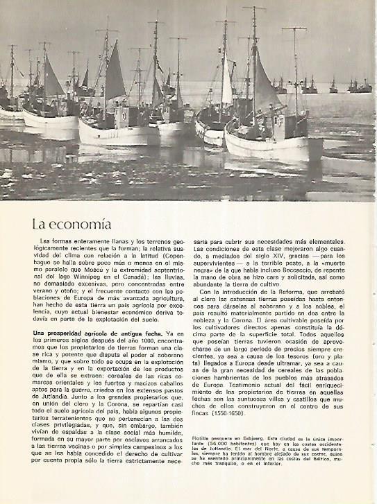 LAMINA 11125: Flota pesquera en Esbjaerg Dinamarca