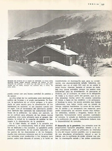 LAMINA 11151: Estacion de invierno en la region de Jamtland  Suecia