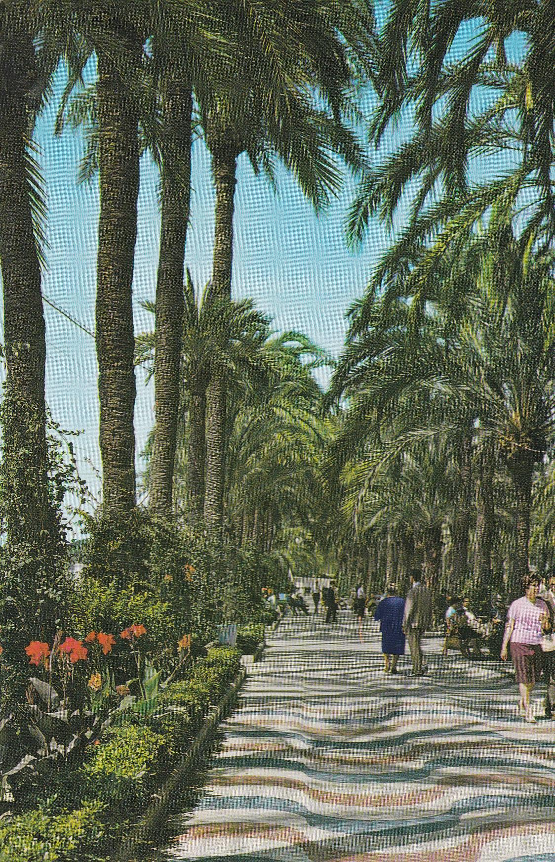 POSTAL B7467: ALICANTE: EXPLANADA DE ESPAÑA