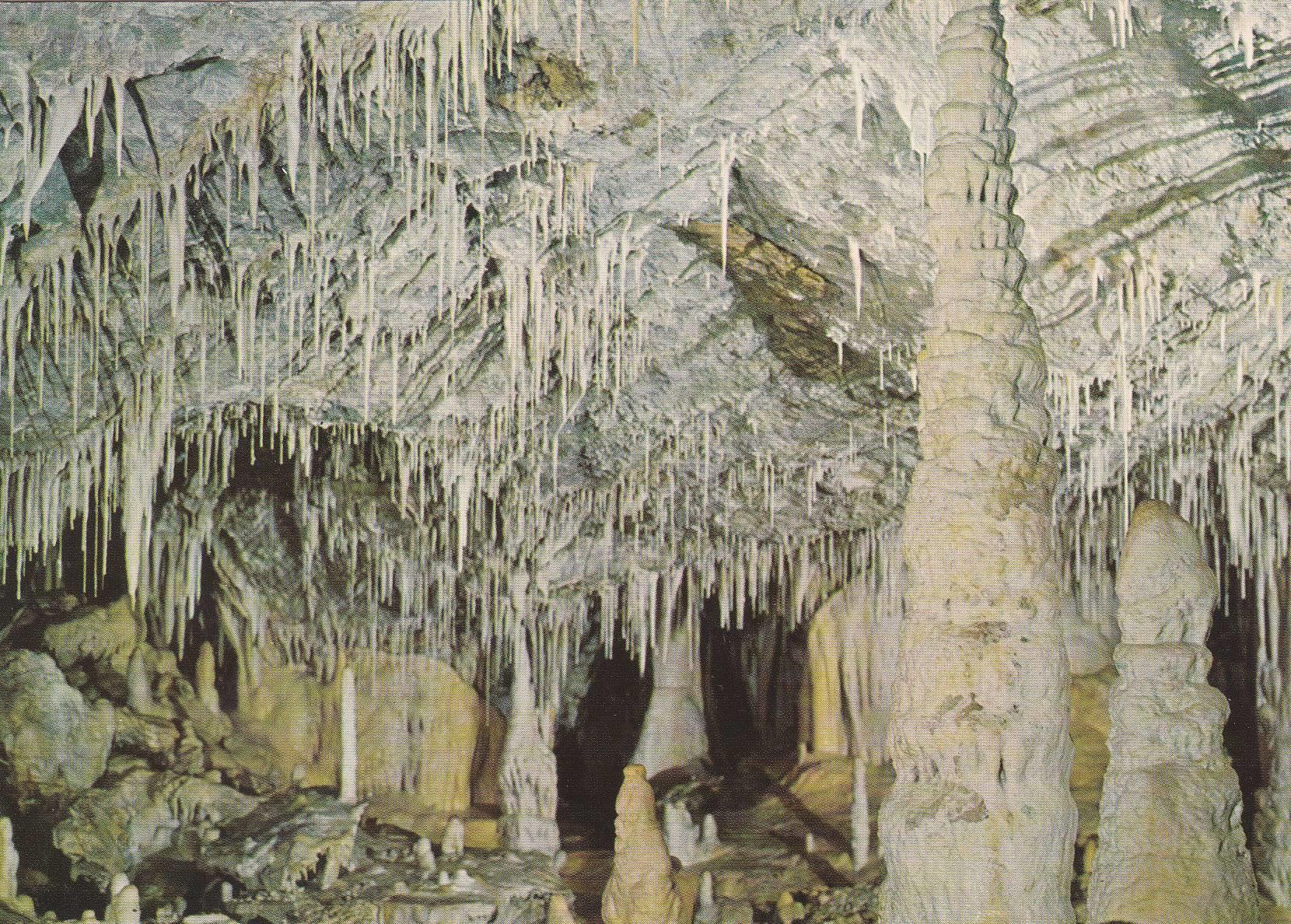 POSTAL B7561: ITALIA: GROTTE DI BORGIO VEREZZI