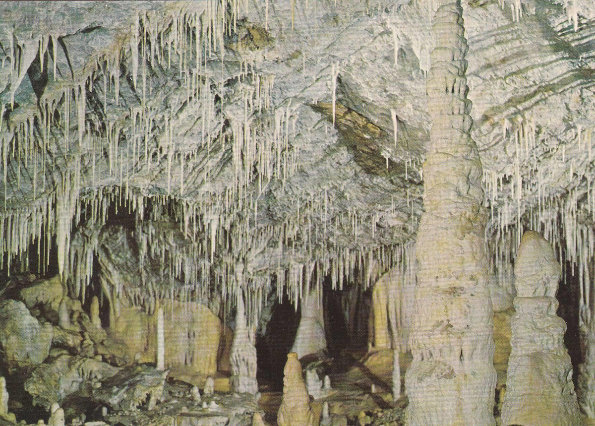 POSTAL B7561: ITALIA: GROTTE DI BORGIO VEREZZI