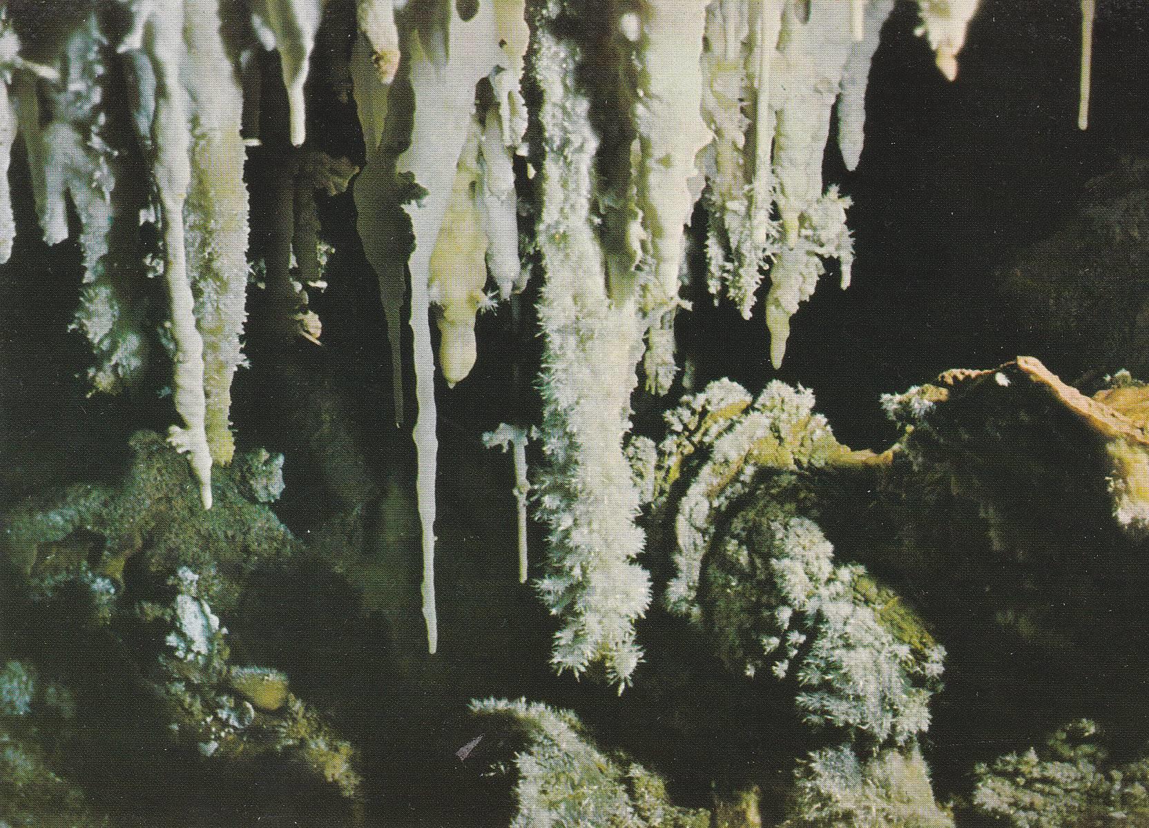 POSTAL B7576: ITALIA: GROTTE DI BORGIO VEREZZI