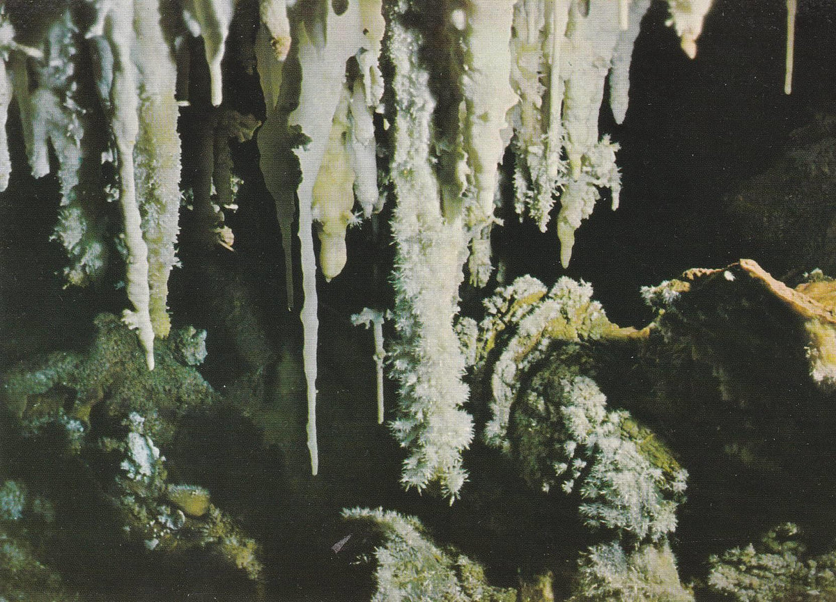 POSTAL B7576: ITALIA: GROTTE DI BORGIO VEREZZI