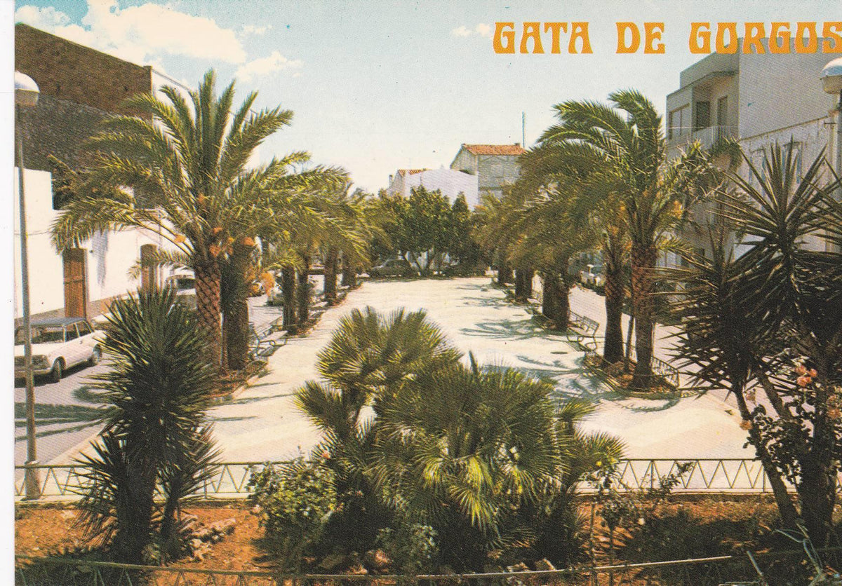 POSTAL B7579: ALICANTE: GATA DE GORGOS