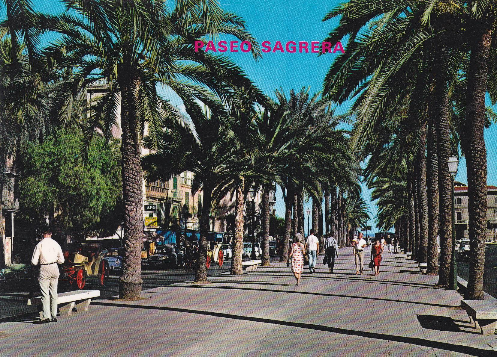 POSTAL B7601: MALLORCA: LA SAGRERA