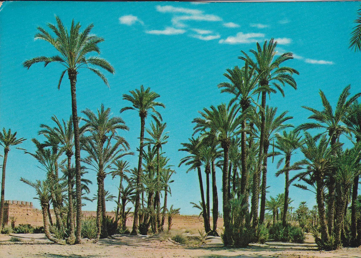 POSTAL B7625: MARRAKECH: PALMERAL