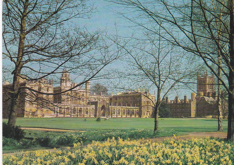 POSTAL B7641: LONDRES: KING S COLLEGE