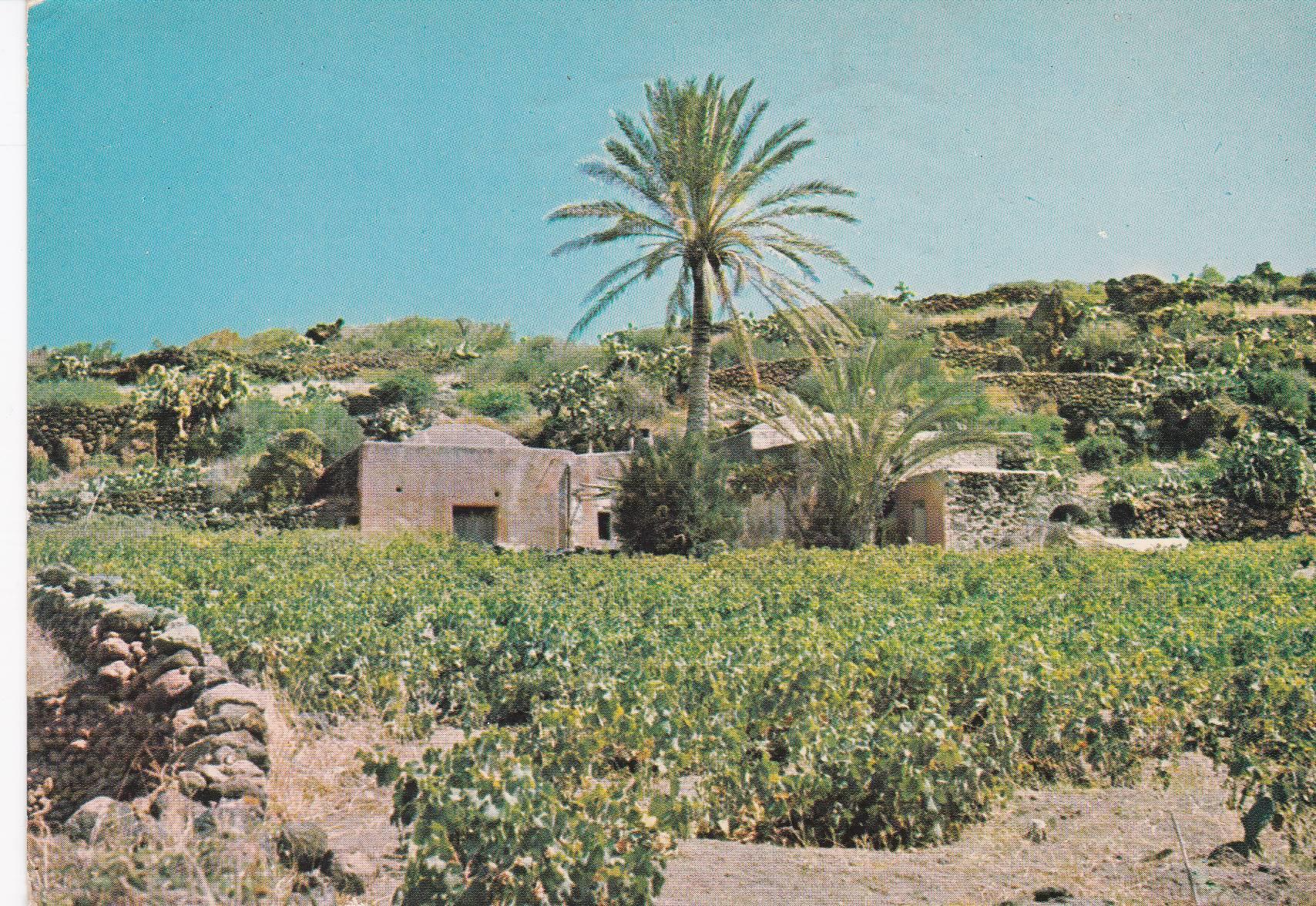 POSTAL B7688: PANTELLERIA: BUGEBER