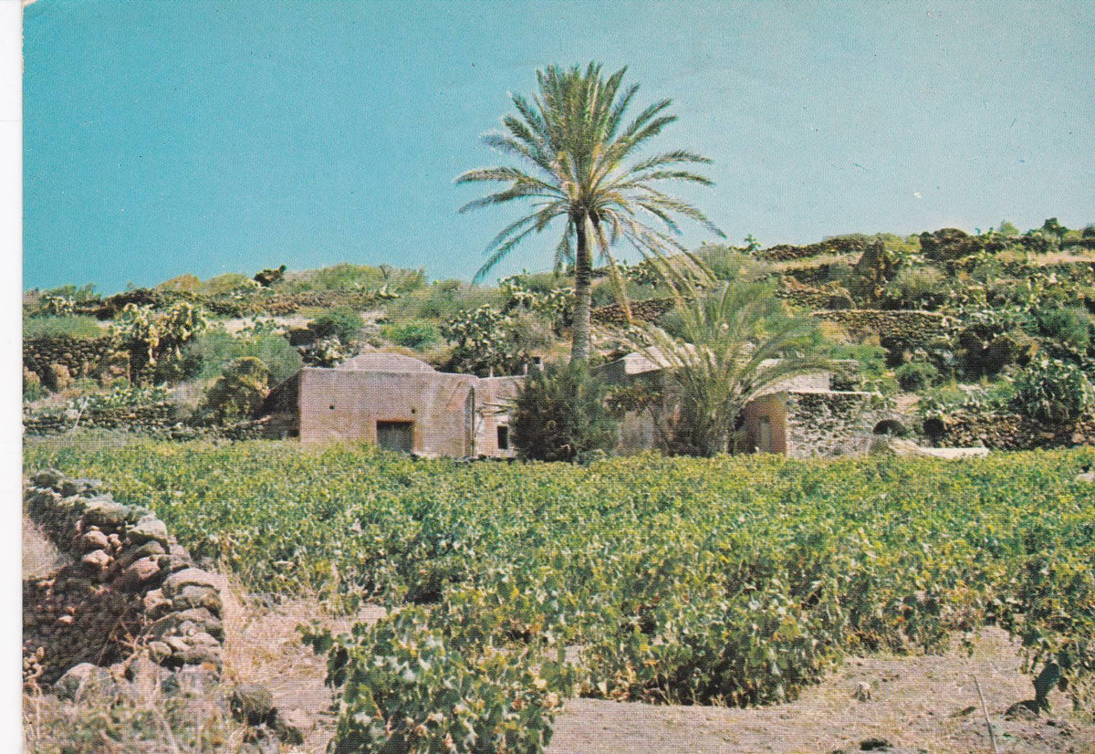 POSTAL B7688: PANTELLERIA: BUGEBER