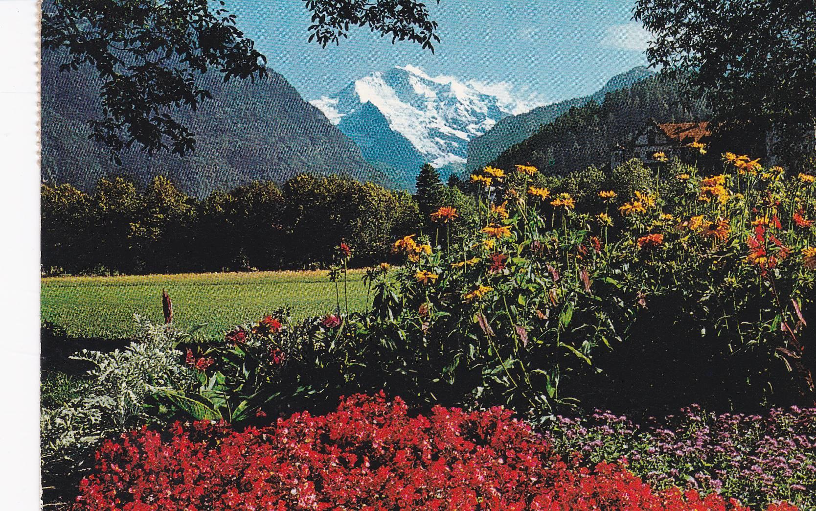 POSTAL B7693: HOLANDA: INTERLAKEN