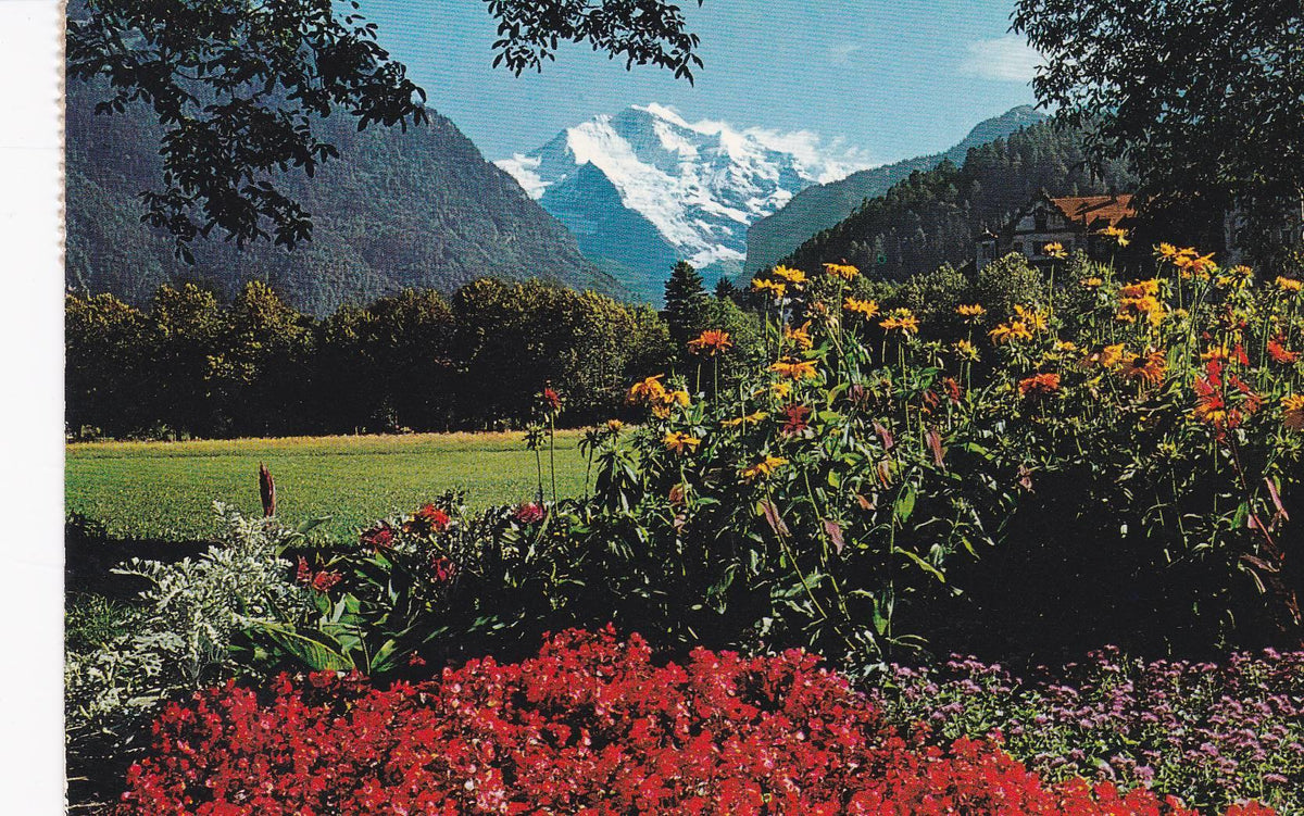 POSTAL B7693: HOLANDA: INTERLAKEN