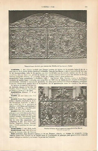 LAMINA ESPASA 24781: Verja de bronce en Padua