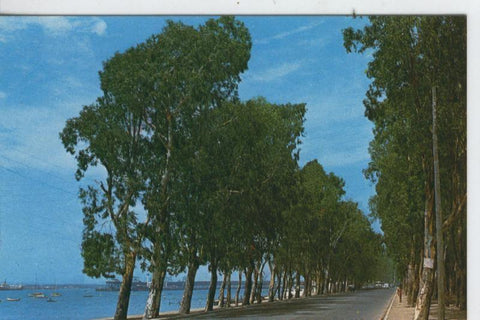 Postal 7191 : Huelva, Paseo de los Pinzonez