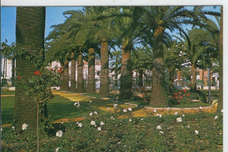 Postal 007193 : Huelva, la rosaleda