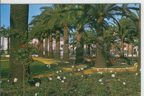 Postal 007193 : Huelva, la rosaleda