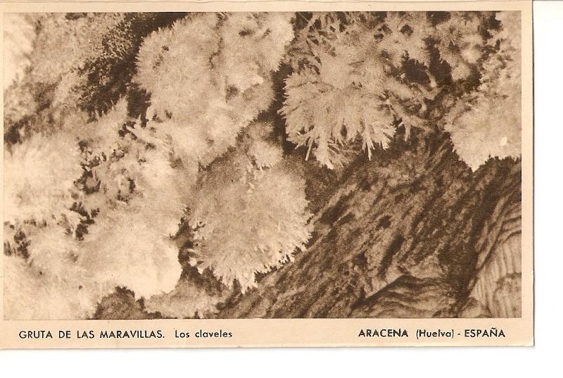 Postal 032516 : Gruta de las Maravillas. Los claveles Aracena (Huelva) - España