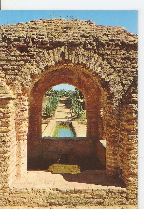 Postal 035356 : Palos de la Frontera (Huelva). La Fontanilla