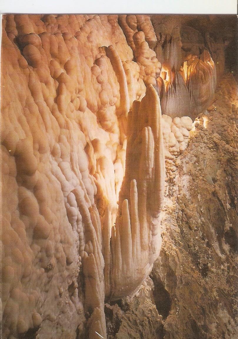 Postal 038602 : Gruta de las Maravillas Aracena (Huelva). Los Garbanzos