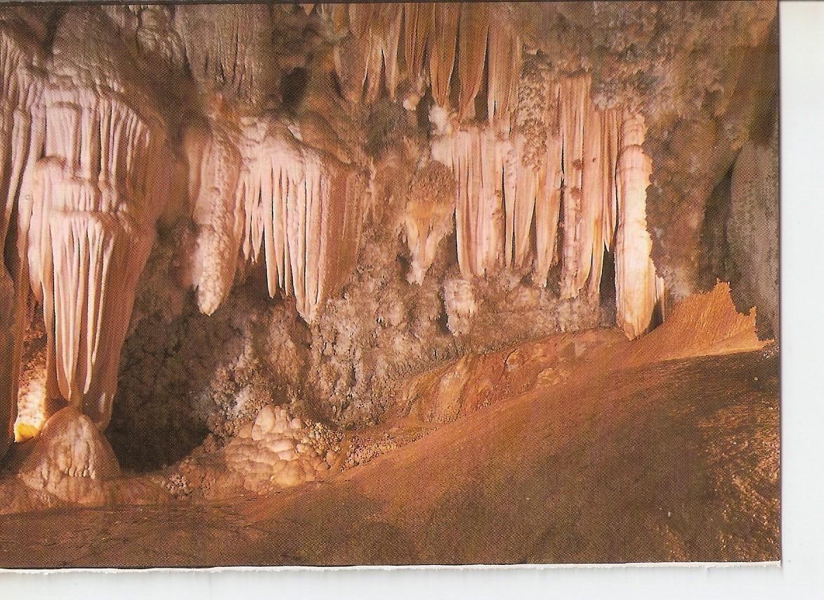 Postal 038609 : Gruta de las Maravillas Aracena (Huelva). Sala de las Pieles