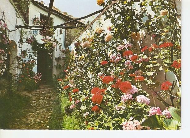 Postal 047596 : Aracena (Huelva). Calle tipica