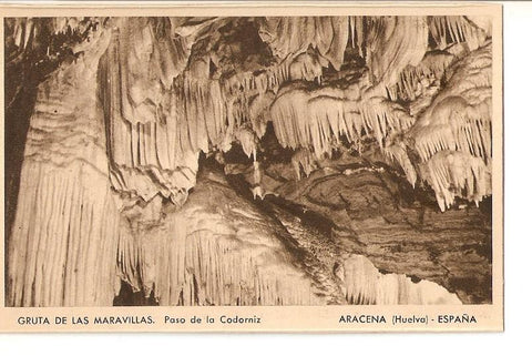 Postal 032513 : Gruta de las Maravillas. Paseo de la Codorniz Aracena (Huelva) - España