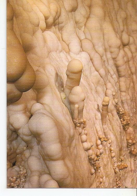 Postal 049409 : Aracena (Huelva). Gruta de las Maravillas. Sala de los Desnudos
