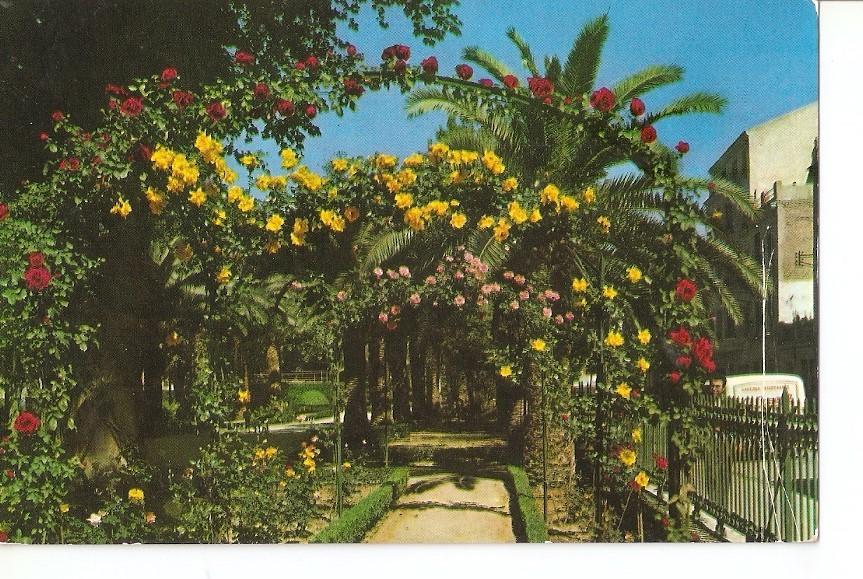 Postal 042815 : Murcia. Jardin de Floridablanca. Detalle