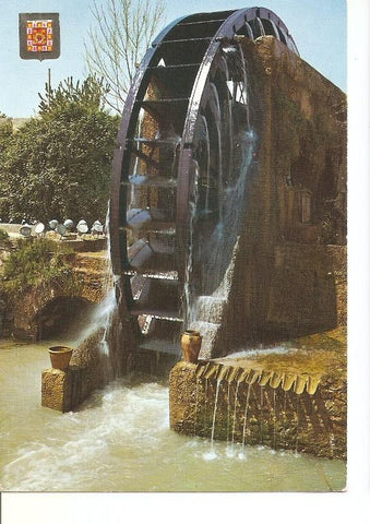 Postal 049007 : Murcia. Alcantarilla. Noria. Museo de la Huerta