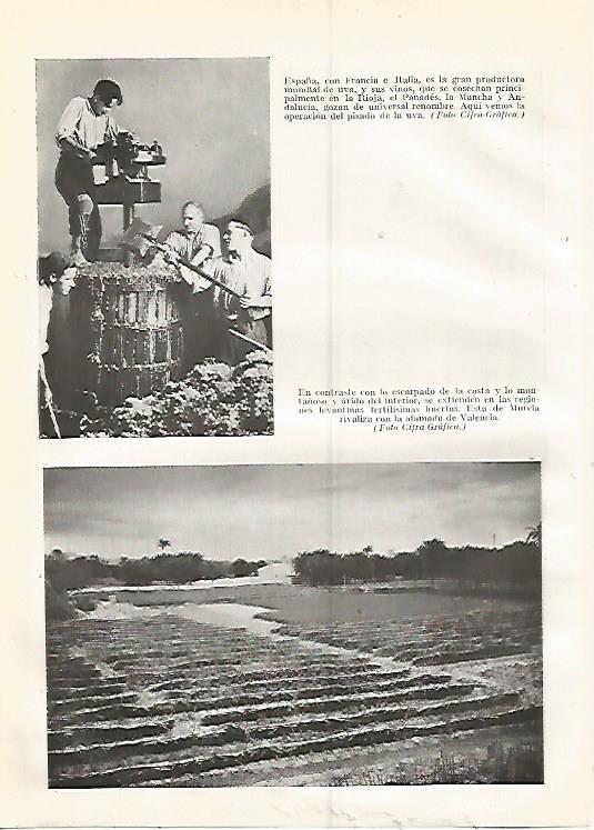 LAMINA GEOGRAFIA 0397: Produccion de uva en España y huertas de Murcia