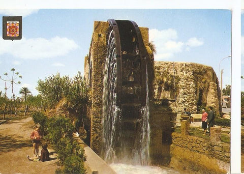 Postal 045495 : Murcia. Rueda de La Ñora
