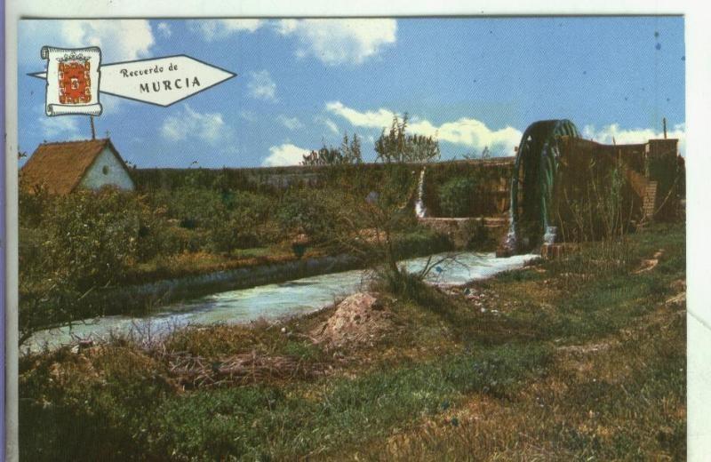 Postal: 001437: La noria arabe en la huerta de Murcia