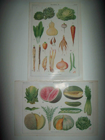 LAMINA ESPASA 30238: Hortalizas