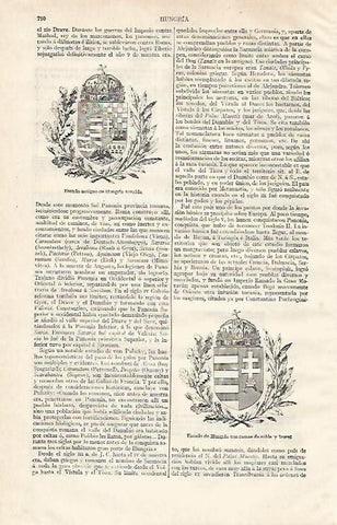 LAMINA ESPASA 30295: Escudos de Hungria