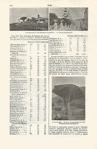 LAMINA ESPASA 30310: Vistsa de Icod Tenerife