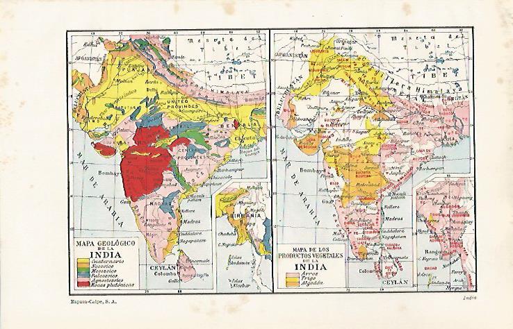 LAMINA ESPASA 30348: Mapa geologico y de vegetales de India