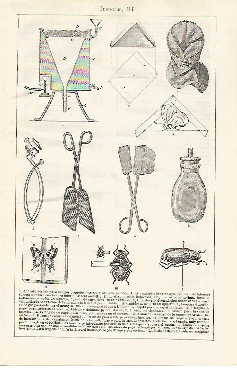 LAMINA ESPASA 30405:  Aparatos para insectos