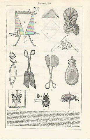 LAMINA ESPASA 30405:  Aparatos para insectos