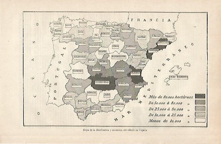 LAMINA ESPASA 30413: Mapa del viñedo en  España