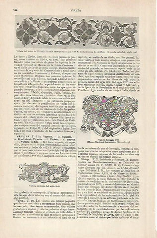 LAMINA ESPASA 30414: Viñetas