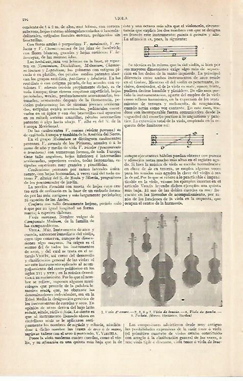 LAMINA ESPASA 30416: Violas