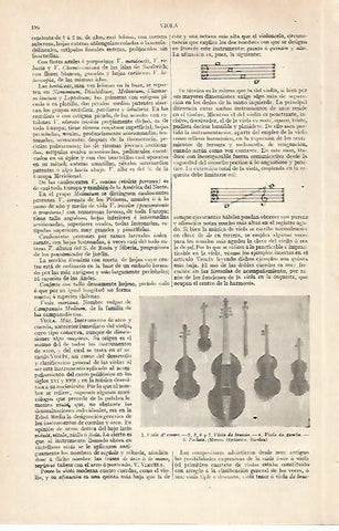 LAMINA ESPASA 30416: Violas