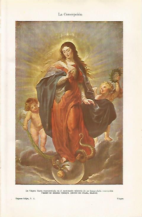 LAMINA ESPASA 30421: La Virgen Maria por Erasmo Quellyn