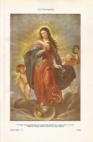 LAMINA ESPASA 30421: La Virgen Maria por Erasmo Quellyn